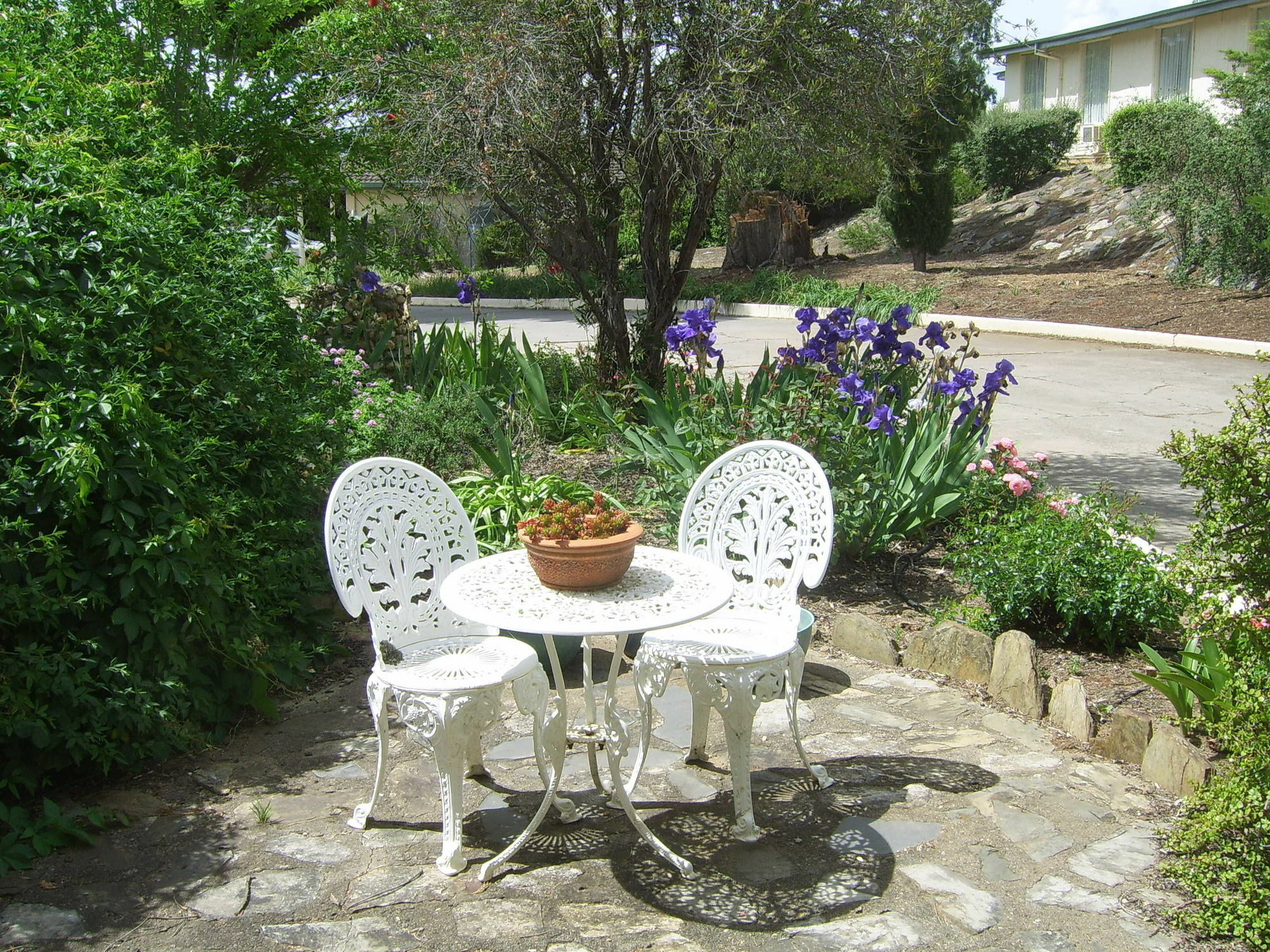 Garden Motor Inn Ґандаґай Екстер'єр фото
